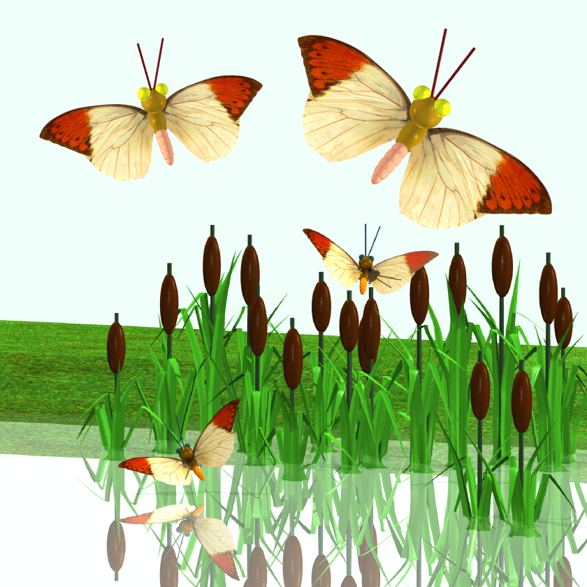  16